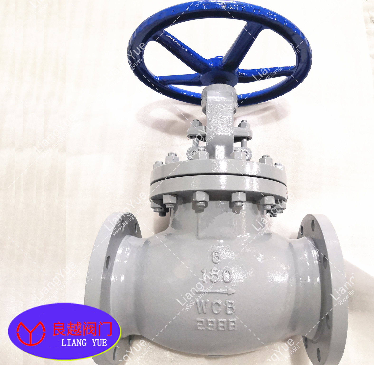 ���˽�ֹ�y